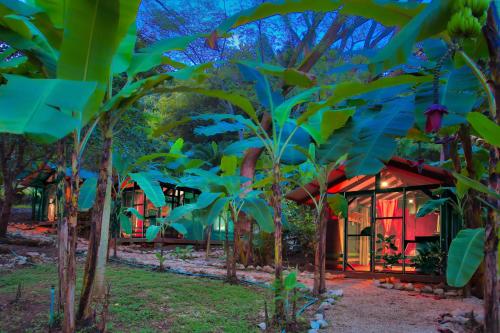 Zahrada ubytování Jungles Edge Hotel, Jiu Jitsu, Muay Thai Retreat Center