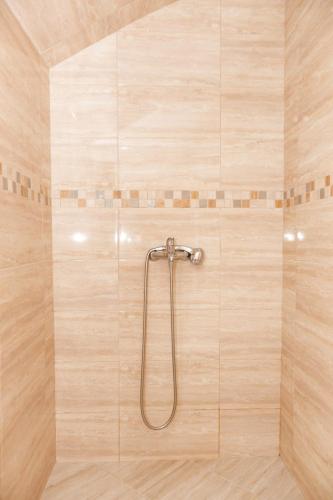 a shower with a shower head in a bathroom at Vila Nikezić in Sutomore
