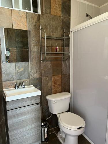 a bathroom with a toilet and a sink at HOTEL CASONA DE LAS AVES in Guanajuato
