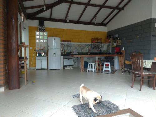 un perro parado en una alfombra en una cocina en Casa Guaiú, en Santa Cruz Cabrália