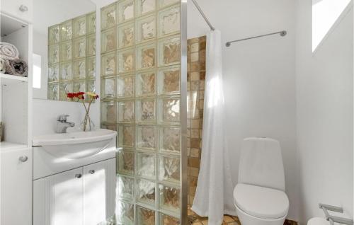 a bathroom with a shower and a toilet and a sink at Awesome Home In lsted With Wifi And 1 Bedrooms in Ølsted