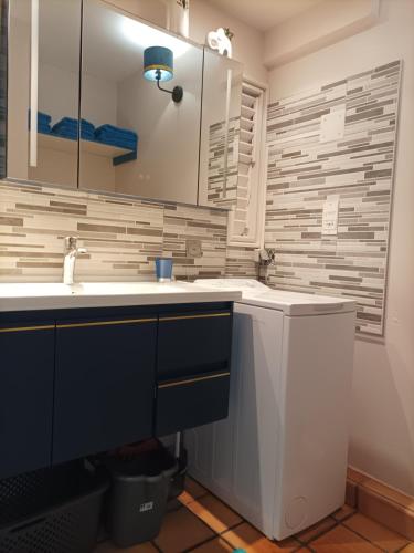 a bathroom with a sink and a mirror at STUDIO ROUGE GORGE TARTANE in La Trinité