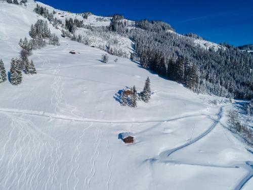 a snow covered slope with trees on a mountain at Chalet in Hollersbach near Kitzbühel Ski Lift in Dorf