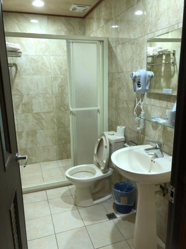ein Bad mit einer Dusche, einem WC und einem Waschbecken in der Unterkunft Lohas Seaview B&B in Beigan
