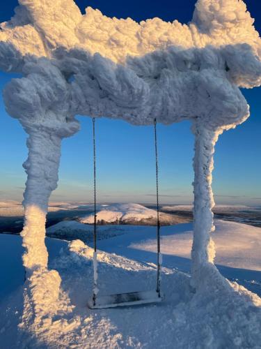 a swing in a tree covered in snow at Yllästölli 2 D, Äkäslompolo in Kolari