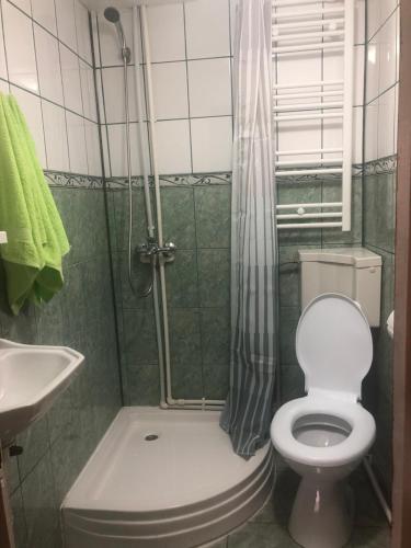 uma casa de banho com um chuveiro, um WC e um lavatório. em Casa de vacanța Cristina em Cîmpu lui Neag