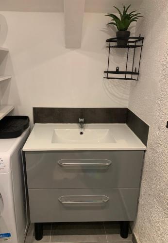 - un lavabo dans la salle de bains avec une plante sur le mur dans l'établissement Les 2 Alpes studio centre station, à Les Deux Alpes