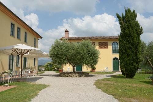 a house with a tree and a table and an umbrella at Agriturismo Musignano in Cerreto Guidi