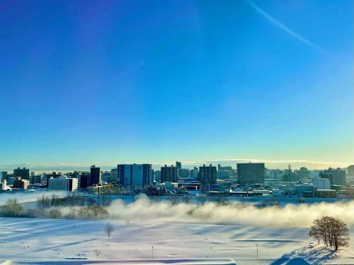 a view of a city in the snow at Hotel Lifort Sapporo in Sapporo