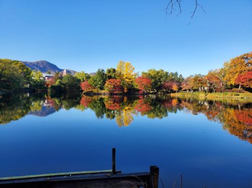 a view of a lake with trees reflecting on the water at Hotel Lifort Sapporo in Sapporo