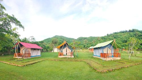 a group of huts in a field of grass at Beach Camp Lombok in Sekotong