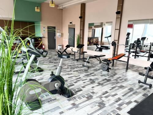 Γυμναστήριο ή/και όργανα γυμναστικής στο Hotel Parc