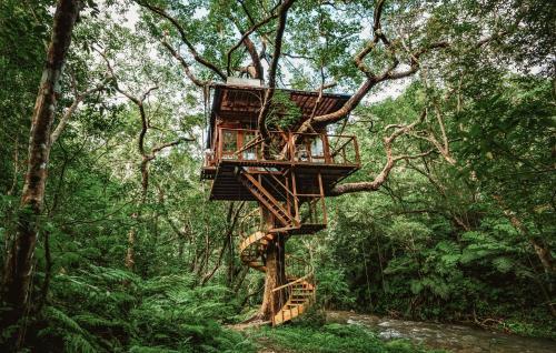a tree house in the middle of a forest at Treeful Treehouse Sustainable Resort Okinawa in Nago