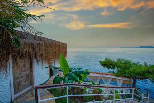 a house with a plant in front of the ocean at Zakros Hotel Lykia in Faralya