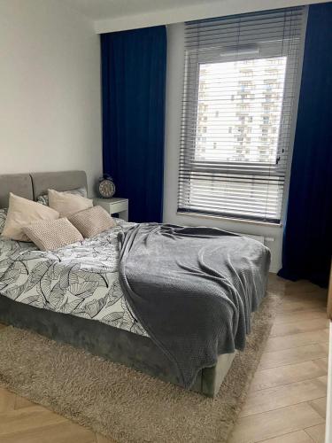 a bedroom with a bed with blue walls and a window at Casa Baltico Letnica in Gdańsk