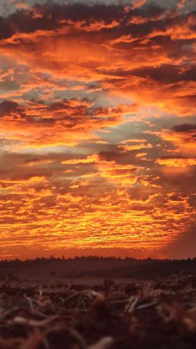 a sunset over a field with a cloudy sky at אהבתה גלמפינג של אהבה בעמק האלה in Ẕafririm