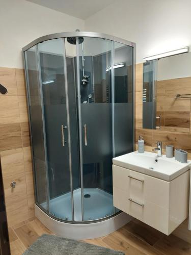 ein Bad mit einer Glasdusche und einem Waschbecken in der Unterkunft Apartmán 85 in Černý Důl
