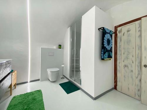 W łazience znajduje się toaleta i przeszklony prysznic. w obiekcie Appartamento Ca' Sistina Green a Morcote w mieście Morcote