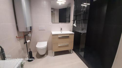 ein Badezimmer mit einem Waschbecken, einem WC und einem Spiegel in der Unterkunft LES GOELLETTES : vue mer et piscine in Saint-Cyprien