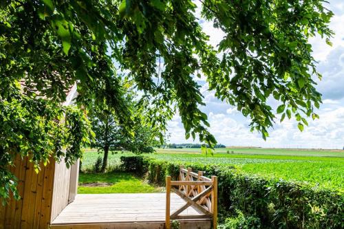 a wooden bench sitting under a tree next to a field at La cabane du cerf et son sauna in Attre