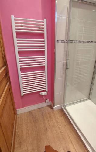 La salle de bains est pourvue d'un mur rose et d'une douche. dans l'établissement Les petits maillots / Hyper centre / 4 voyageurs, à Dieppe