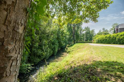 uma árvore ao lado de um campo com uma estrada em gite de l'ile ste hélène em Pitres