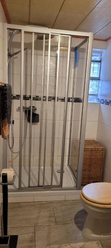 een douche in een badkamer met een toilet bij FeWo Harz Haennig 1 in Wieda