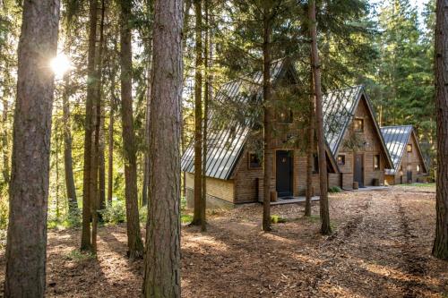 Lesní Apartmány