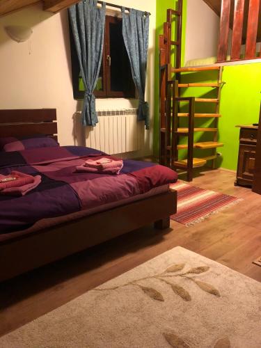 a bedroom with a bunk bed and a ladder at Vila Bojana in Gornji Milanovac