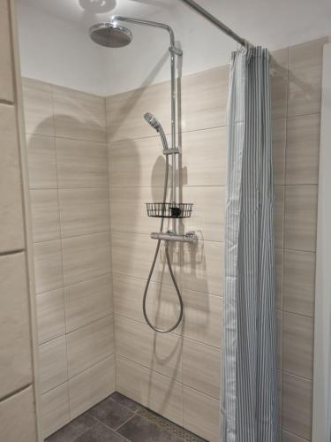 une douche avec un pommeau et un rideau de douche dans l'établissement Appartment Barbier, à Großefehn 