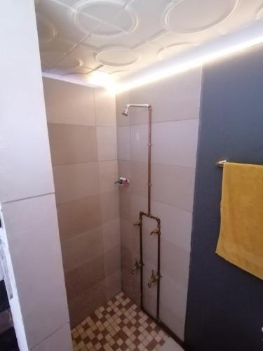 La salle de bains est pourvue d'une douche au plafond. dans l'établissement Exquisite Minimalistic Room, à Pietermaritzburg