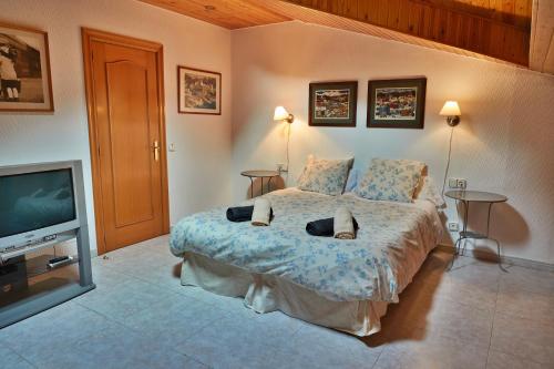 1 dormitorio con 1 cama y TV de pantalla plana en Pleta de Escaldes 6.1, en Andorra la Vella
