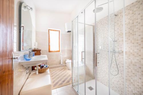 bagno con doccia in vetro e lavandino di Domu de Campu a Pabillonis