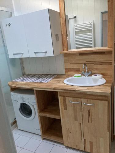 uma casa de banho com um lavatório e uma máquina de lavar roupa em Petite maison dans le jardin em Ars-en-Ré