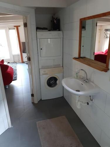 a small bathroom with a washing machine and a sink at Country cottage Anna Paulowna, self checkin in Anna Paulowna