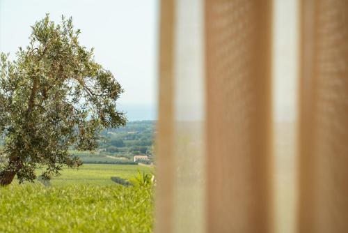 a window view of a field of grass and a tree at Relais dei Molini - Villa dei Molini in Castagneto Carducci