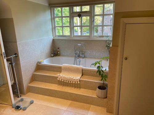 a bathroom with a tub and a potted plant at Appletree Cottage in Heswall