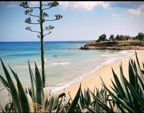 Gallery image of Scogliera apartments in Avola