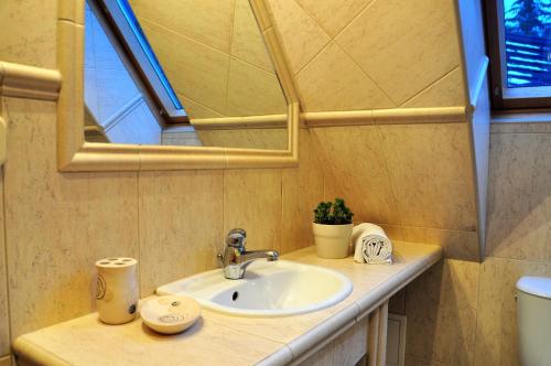 コシチェリスコにあるWILLA u CIANKAのバスルーム(洗面台、鏡付)