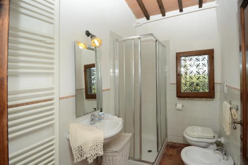 a bathroom with a sink and a toilet and a shower at Podere Le Crete in Montepulciano