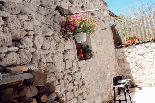 a stone wall with a window with flowers on it at Las Calendas de Atapuerca CB in Castrillo del Val