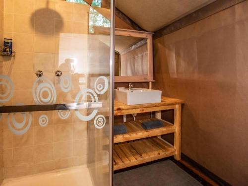 a bathroom with a shower and a sink at Langa Langa Tented Safari Camp in Huntingdon