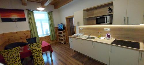 Η κουζίνα ή μικρή κουζίνα στο Apartmán Kienberg pod Lipenskou hrází
