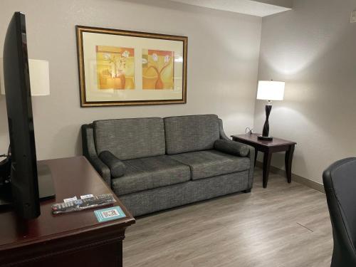 Χώρος καθιστικού στο Country Inn & Suites by Radisson, Albany, GA