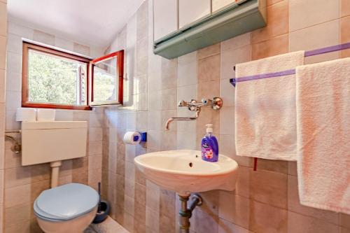 a bathroom with a sink and a toilet and a window at Apartmani Antula in Prigradica