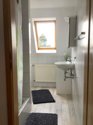 een kleine badkamer met een wastafel en een wastafel bij Urlaub beim Fürst in Wernigerode