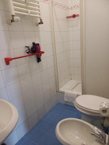 a bathroom with a toilet and a shower and a sink at Hotel The Dream in Rome