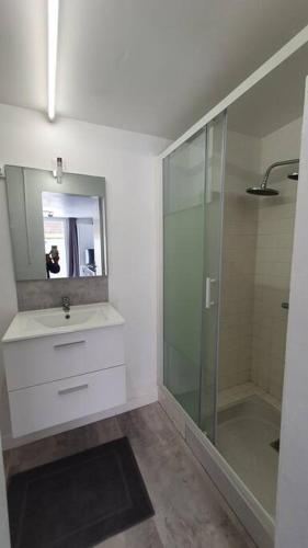 une salle de bain avec une douche, un lavabo et un miroir dans l'établissement Appartement T2 à 500m de la plage et du marché., à Saint-Brévin-les-Pins