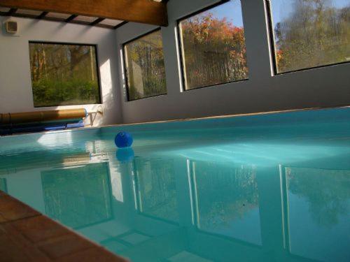 a swimming pool with blue water and two windows at CHESNUT - 2 Bedroom Lodge in Kingsnorth