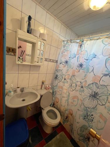 a bathroom with a sink and a toilet and a shower curtain at Cabañas Sol Del Mar in Ancud